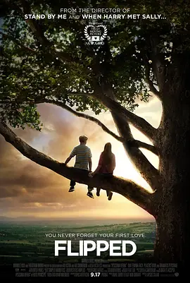 怦然心动完整版全集免费观看下载海报